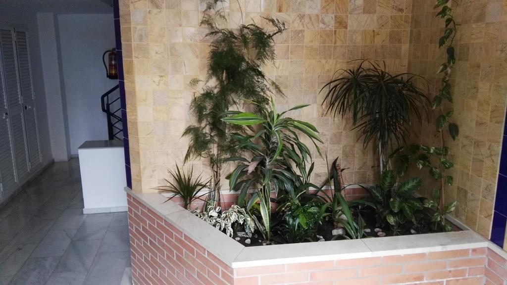 Fan Flat Eugenio (Adults Only) Apartman Málaga Kültér fotó